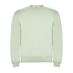 Реглан Clasica 280 ТМ Roly под Нанесение логотипа