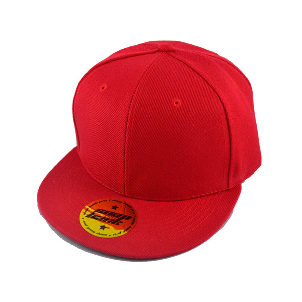 SNAPBACK под Нанесение логотипа