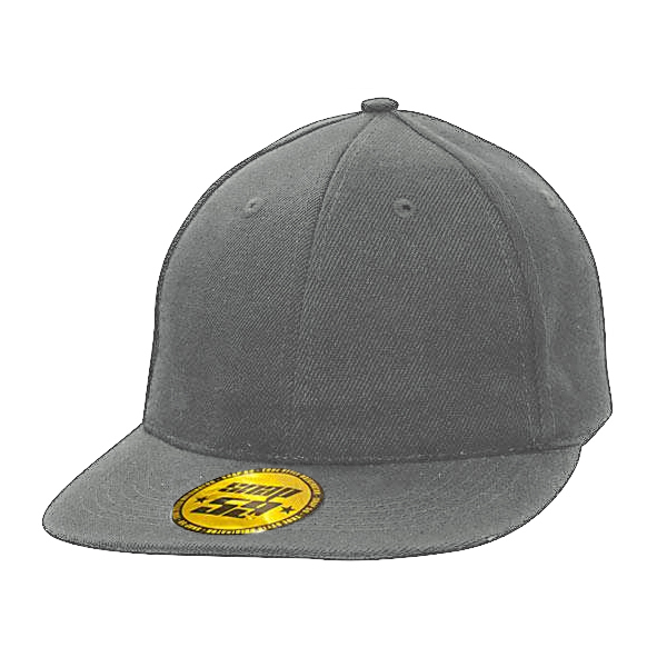 PREMIUM SNAPBACK под Нанесение логотипа